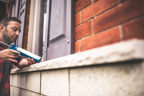 Best Local Insulation Services  in Walnut Ridge, AR