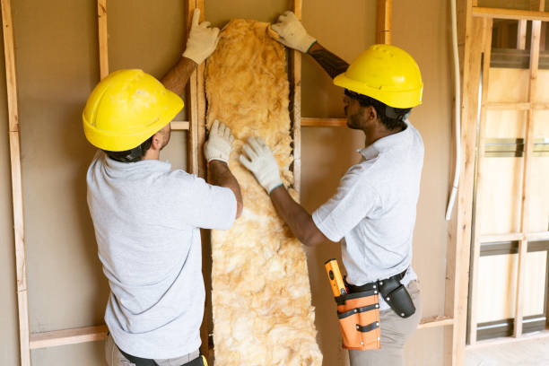 Best Insulation Contractor Near Me  in Walnut Ridge, AR