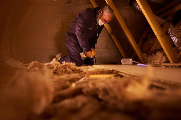 Best Insulation Inspection Services  in Walnut Ridge, AR